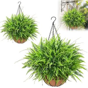 Yastouay 2 Pack Artificial Hanging Ferns for Outdoors, UV Resistant Fake Mixed Ferns with Hanging Baskets, Faux Ferns for Outdoor Planter for Garden, Spring Summer Decor for Home Front Porch Patio