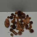 40 PCS Rustic Pine Cone Decorations - Large, Medium and Mini Sizes for Table, Tree and Home Decor