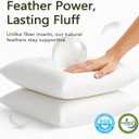 DWR Set of 2 Feather Down Throw Pillow Inserts 14x24 with Organic Cotton Cover, Feather Rectangular White Decorative Pillow Inserts for Bed, Sofa, and Couch
