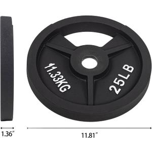 Fitvids 2-Inch Olympic and 1-Inch Standard Cast Iron Weight Plate for Strength Training & Weightlifting, 25lbs