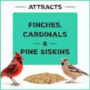 Pennington Pride Wild Finch Blend, Wild Bird Seed for Outside Feeders, Special Mix for a Variety of Musical & Colorful Songbirds, Great Bird Food to Use as Year-Round Feed, 10-lb. Bag