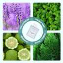 Double Mint,3 Packs,to Help Break Bad Habits Naturally | 12 Cores Total