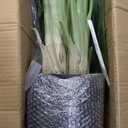 Artificial Tree 6.6Ft Silk Bird of Paradise Large Big Fake Potted Plants Tall Faux Silk Floor Plants for Home Living Room Bedroom Office Decor Indoor Outdoor