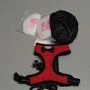 10 Pack Super Absorbent Pet Training Pads + 1 Set Durable Pet Leash & Harness | Leak-Proof Essentials for Indoor & Travel (S Size) (Medium, White)