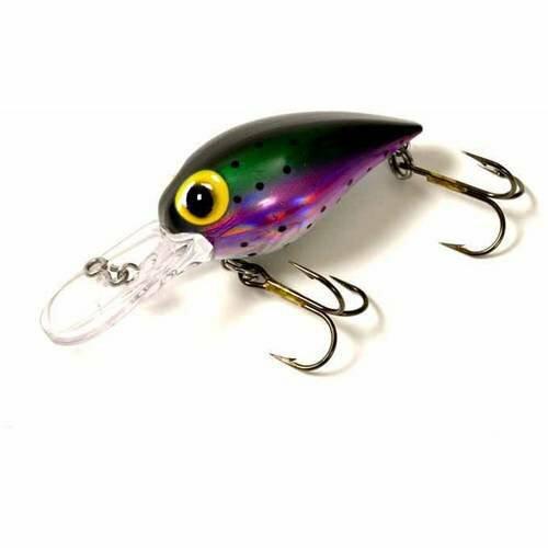Brad's Wiggler Lazer Rainbow; 3 3/4 in. 2 Pcs