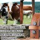 Western Belt without buckle for men  Full Grain Leather Cowboy Belts for jeans - One Piece Leather strap belt (Brown)