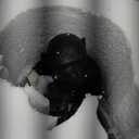 Modern Resin Monkey Wall Lamp Table Lamp Hemp Rope Pendant Light Vintage Monkey Lamp for Home Decor Dining Living Room Bedroom Entryway (Black, Table)