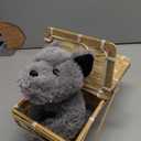 Rubies The Wizard of Oz: Toto in a Basket Costume Accessory for Kids or Adults, Unisex No Size