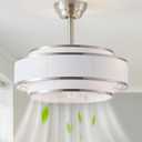 20" Caged Ceiling Fans with Lights and Remote, Fandelier Ceiling Fan with Light, Modern Bladeless Quiet Reversible Motor 6 Speeds for Bedroom, Nursery, Living Room, Silver