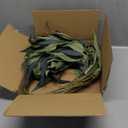 Artificial Greenery Stems for Vase, 5 Pcs Tall Fake Plants Branches Faux Greenery Twigs Leaf for Indoor Home Office Vase Filler for centerpieces, Dark Green