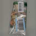 AIBEARTY Wooden Animal Glasses Holder Cute Animal Eyeglass Display Stand Rack Home Office Desktop Decoration Gift for Kids (Fox)