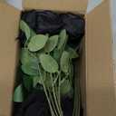 Roses Artificial Flowers, Black Flowers with Stem Valentine Anniversary Sympathy Memorial Gift, Fake Silk Roses Indoor Outdoor Decor for Funeral Wedding Birthday Party Christmas Halloween(24, Black)