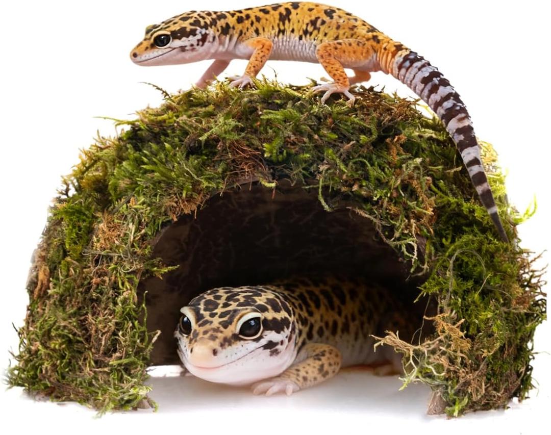 Reptile Hides and Caves  Leopard Gecko Tank Accessories, Natural Dome Reptile Cave & Shelter, Gecko Tank Accessories & Hermit Crab Shelter, Hamster Cage Accessories