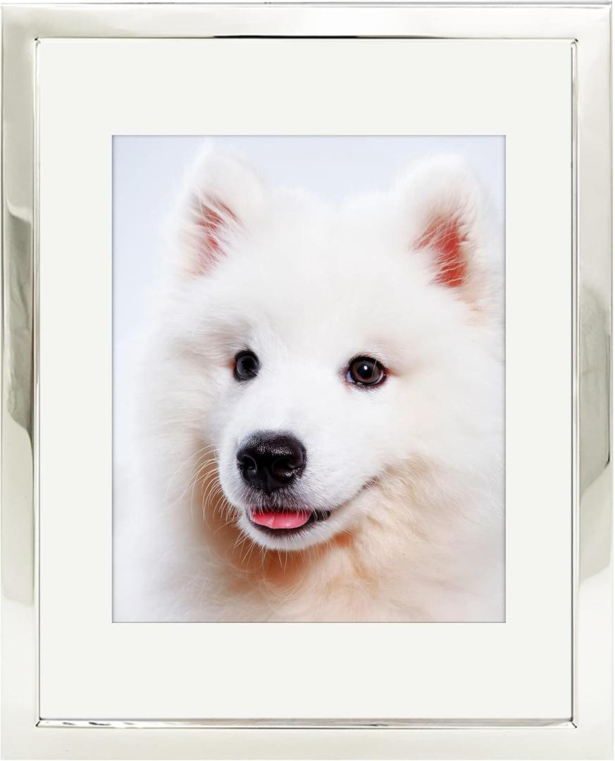 DECANIT 11x14 Picture Frames without Mat & 8x10 Picture Frames with Mat Silver Metal Photo Frames For Wall Decoration-Best Gifts For Family