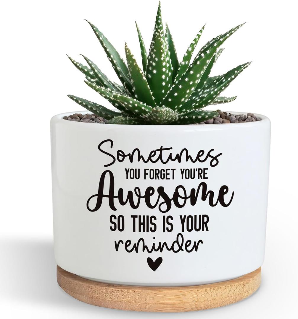 You're Awesome Funny Succulent Plant Pot, Cute 3.5 Inch Small Ceramic Cactus Planter Pot with Drainage, Home Office Desk Decor for Friends Coworker Birthday Christmas Housewarming Gifts (No Plants)
