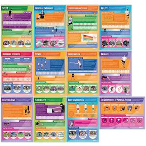 Components of Physical Fitness Posters, Set of 12, EXTRA LARGE 33" x 23.5", 33L" x 23.5W"