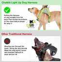 ChalkLit Light Up Dog Harness, No Pull Led Dog Harness Glow-in-The-Dark for Night Walking, USB Rechargeable Lighted Safety Vest for Medium Large Dogs, Adjustable Soft Mesh Fully Illuminated(Green, L)