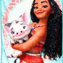 Northwest Moana Micro Raschel Throw Blanket, 46" x 60", Voyagers