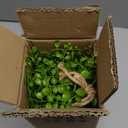 Artificial Hanging Plants Fake Greenery Succulent Potted Plant Ceramic Planter for Home Wall Indoor Outdoor Decor Dischidia Oiantha