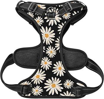 Step in Dog Harness and Leash Set, Flower Adjustable Easy Walk Puppy Harnesses, Soft Mesh No Pull Pet Vest Harness for Small Dogs and Cats(Daisy, XXS)