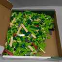 Velociraptor Dino Building Block Set Detailed Dinosaur Model for Display, Construction Toy Gift for Kids & Collectors