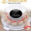 Egg Incubators for Hatching Eggs with Smart Automatic Turning Small Poultry Duck Quail 12 Eggs Chicken Incubator Temperature Days Control Humidity Display Candler Hatcher Machine, Fahrenheit