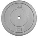 CAPHAUS Grey Standard Solid Cast Iron Weight Plates 1-inch Center Hole for Standard Barbell & Dumbbell Handles Size U. 50lb (Single)