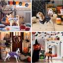 Cute Dog Shirts Clothes, Funny Holiday Style,Soft and Comfortable FabricDog Clothes T Shirt Vest Soft for Small Medium Dogs Cats (Halloween, 3XL)