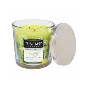 TUSCANY CANDLE SUCCULENT CITRUS 14 OZ