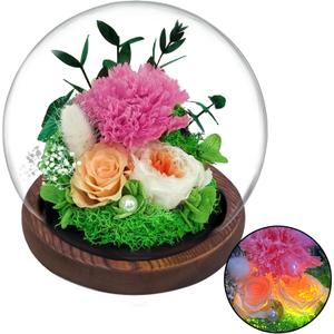 Mothers Day Flowers Gifts for Mom,Preserved Rose Carnation Flowers Gifts for Women, Real Flowers Bouquet in Glass Dome with Light, Birthday Gifts for Mom Wife Mothers Day Anniversary