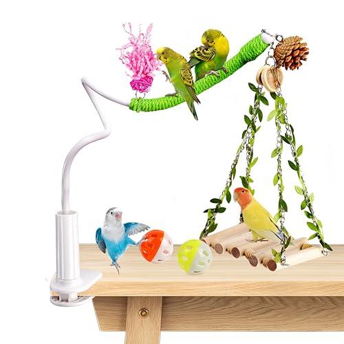 ZooVibe Bird Perch Stand with Swing, Desktop Bird Toy & Stand for Interacting, Interactive Playground for Sun Conure, Lovebirds, Conure, Budgie, Cockatiel - Non-Slip Adjustable Perch