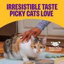 Wellness Complete Health Pate Variety Pack Adult Canned Wet Cat Food, Natural, Protein Rich, Grain Free, Seafood Favorites, 3 oz, Pack of 12 Cans