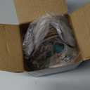 Coasters for Drinks Set of 6 Cork Base Coaster with Holder Sea Ocean Life Coastal Decor Beach Theme Tropical Thick Sturdy Cork Coasters for Housewarming Apartment Kitchen Bar Coffee Table Desk