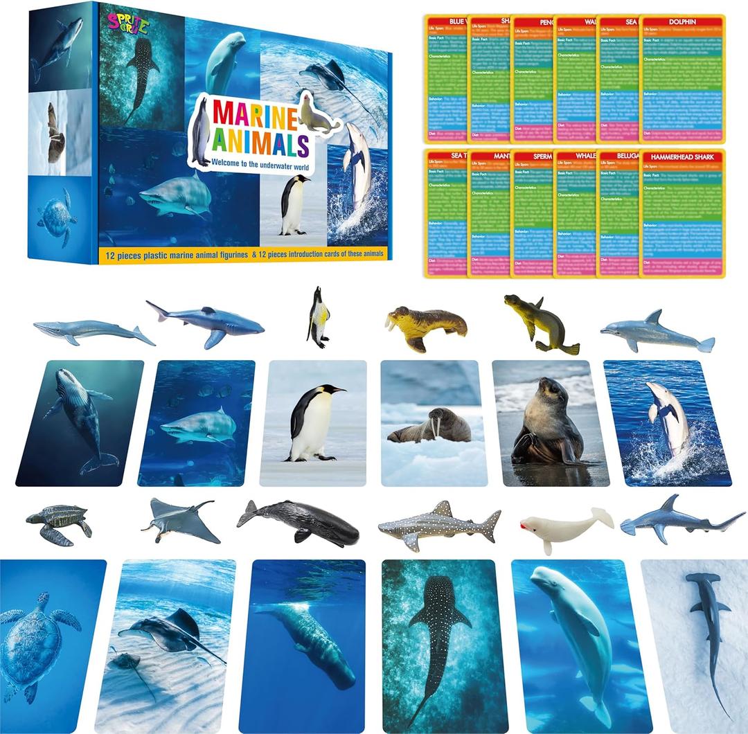 12 PCS Plastic Marine Animal Figurines with 12 Introduction Flashcards, Ocean Animals Learning Recognition Cards Realistic Undersea Animal Figures Educational Learning Toy Set for Kids, Classroom