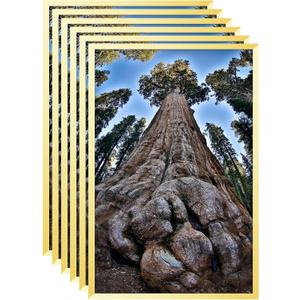 12x18 Picture Frame Gold Photo Frames Display for Wall, Set of 6