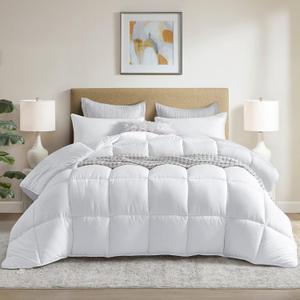 Winter Extra Warm White Queen Size Down Alternative Comforter, Heavyweight All Season Fiberfill Comforter Duvet Insert 90x90 with Corner Tabs - Ultra Soft Brushed Microfiber Shell