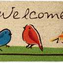 DII Natural Coir Doormat Outdoor Welcome Mat, 17x29, for The Birds