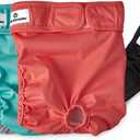 Pet Parents Washable Dog Diapers (3pack) + Extendrs of Durable Doggie Diapers, Premium Dog Diapers Female (Large, Southern Belle) (Large (19-27"))