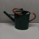 1 Gallon Metal Watering Can with Removable Spout, Nice Galvanized Steel Water Can with Embossed Design for Indoor and Outdoor Plants (Green)
