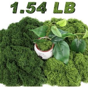 Jollidecor 1.54 LB Fake Moss for Crafts, Artificial Decorative Light Green and Dark Green Faux Moss DIY Fairy Garden Decor for Indoor Decor
