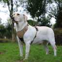 Dog Harness with Airtag Holder, No-Pull Tactical Service Dogs Vest with Handle, Escape Proof Freedom Outdoor Easy Walk Jacket with Back Front Clip for Small Medium Large Breeds,Khaki,S