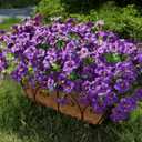 Artificial Flowers for Outdoors Fake Plants Outside Decoration, 20 Bundles Purple Silk Petunia with Eucalyptus UV Resistant Realistic Faux Flowers for Outdoor Planters Garden Balcony Yard Porch Patio