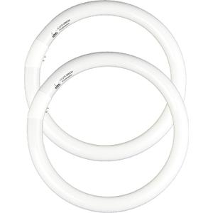CHKADAWA FC12T9/CW 32W Cool White Round Fluorescent Light Bulb, 12 Inch T9 32 Watts Circular Bulbs, 12'' FCL 32 Circline Bulb 4100K 841, G10q 4 Pin Prong Base, 2 Pack
