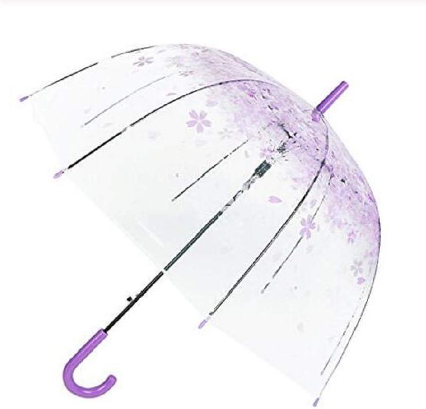 Transparent Bubble Umbrella Transparent Fashion Dome Automatic Handle Bird Cage Windproof Wedding Decoration Umbrella (Purple)