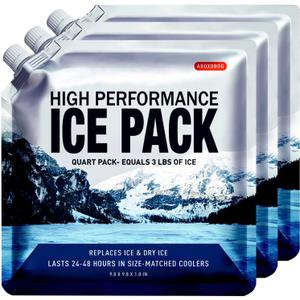 Reusable Ice Packs for Coolers Long Lasting Gel Freezer Packs for Cooler Bag Backpacks, Lunch Box, Cooler Bag, Keeps Food Cold Fresh (Set of 3) (9.8"x9.8")