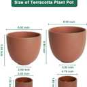 vensovo Dark Terracotta Self Watering Plant Pot - 2 PCS 6 Inch & 8 Inch Terra Cotta Plant Pot with Drainage Hole and Saucer, Small & Large Clay Flower Pot with Tray, Planter for Indoor Outdoor, 6.5 inches