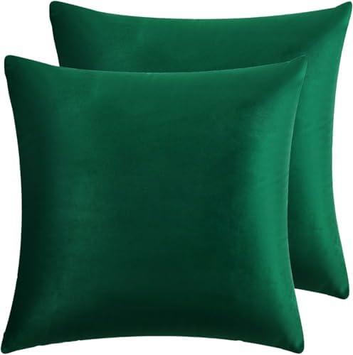 RainRoad Dark Green Throw Pillows Covers Set of 2 Soft Velvet Decorative Pillow Covers 20x20 Inch for Couch Bed (Dark Green, 20" x 20"(Pack of 2))