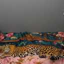 Vintage Leopard Floral 20x54 Body Pillow Cover, Cheetah Room Decor, Trendy Retro Sleepy Leopard Pink Flowers Decorative Long Body Pillow Cases for Bed Couch