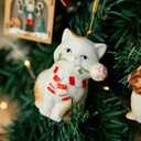 DIHOclub Set for 6 Cute Animal Christmas Ornaments with Gift Boxes, Hand-Painted Ceramic Animal Hanging Pendants for Christmas Tree and Home Decorations