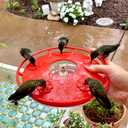 Hummingbird Feeder Railing Mount or Hanging for Deck/Porch/Balcony 14oz Nectar Feeding Bowl with 5 Ports & 3" Clamp and Metal Hook